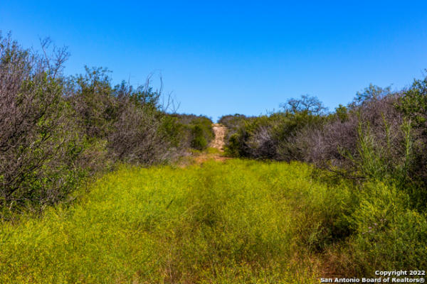 COUNTY ROAD 661, DEVINE, TX 78016, photo 3 of 12