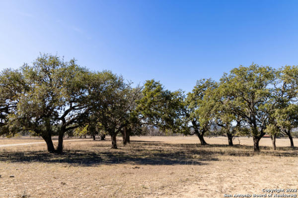 434 RIVER RD, UTOPIA, TX 78884, photo 5 of 25