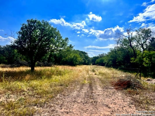 291 COUNTY ROAD 4802, CASTROVILLE, TX 78009 - Image 1