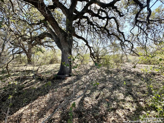 TBD CR 663, DEVINE, TX 78016, photo 2 of 9