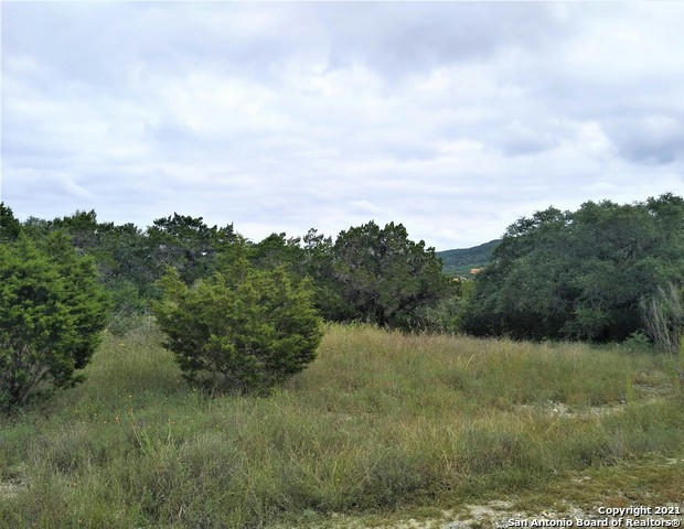 197 PRIVATE ROAD 1730, MICO, TX 78056, photo 1 of 36