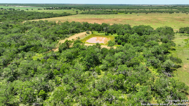 000 BLUNTZER RD, JOURDANTON, TX 78026, photo 3 of 9