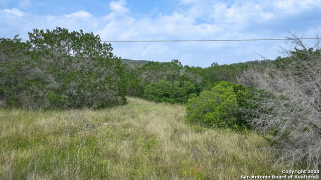 CR 242 COUNTY ROAD 242, HONDO, TX 78861, photo 5 of 24