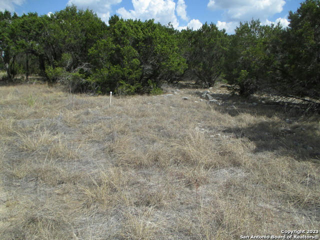 18 LEDGESTONE PL, BOERNE, TX 78006, photo 1 of 24