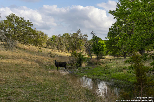 855 LINDIG RANCH RD, STONEWALL, TX 78671, photo 1 of 22