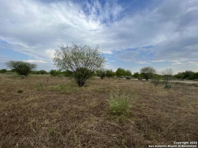 TBD CR 3415 LOT 10, PEARSALL, TX 78061, photo 1 of 16