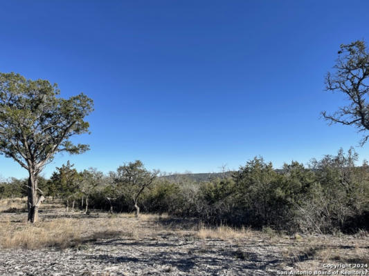 118 NINA, CAMP VERDE, TX 78010, photo 2 of 8