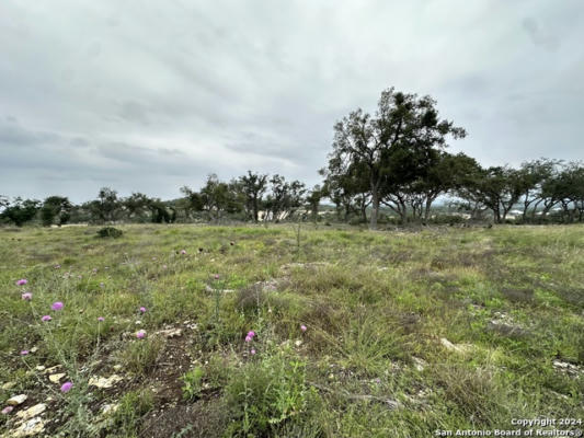 675 BUTLER OAKS, BULVERDE, TX 78163, photo 2 of 8