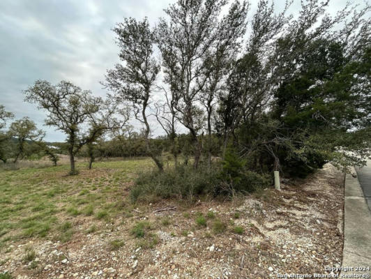 361 PRIVATE ROAD 1742, MICO, TX 78056, photo 4 of 19