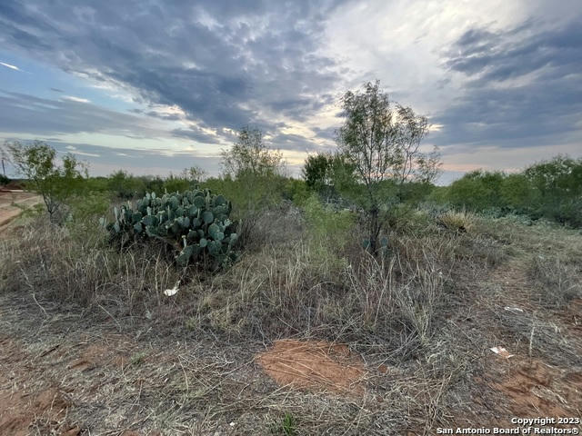 TBD CR 3435 LOT 3, PEARSALL, TX 78061, photo 1 of 10