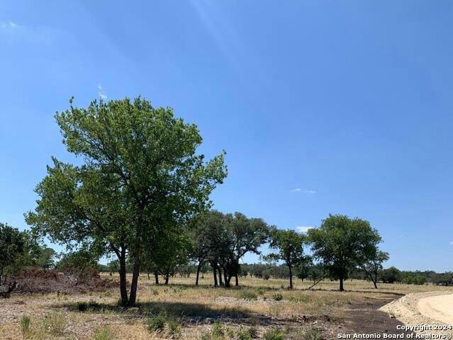 LOT 15 COLDWATER DRIVE, CAMP VERDE, TX 78010, photo 1 of 13