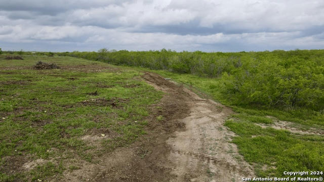 TBD LOT 1 STATE HIGHWAY 80, NIXON, TX 78140, photo 4 of 11