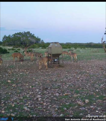 0 FAIR RANCH RD., LEAKEY, TX 78873, photo 5 of 36