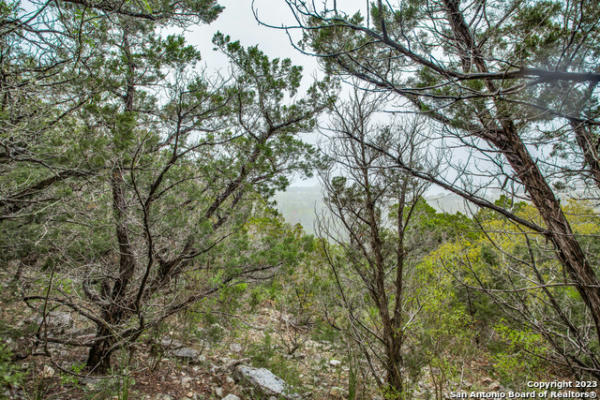 229 PR 1720, MICO, TX 78056, photo 2 of 9