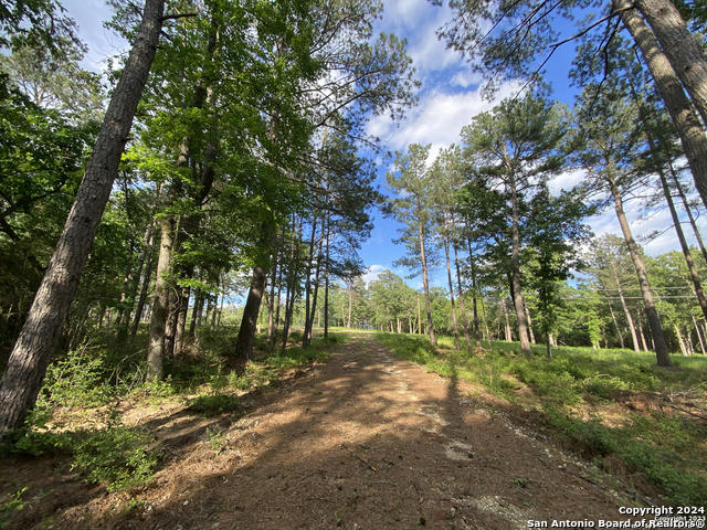 LOT 23 THREE LAKES RANCH, CENTERVILLE, TX 75833, photo 1 of 16