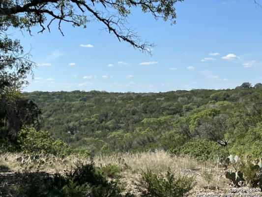 114 DEER HAVEN, HUNT, TX 78024, photo 2 of 10