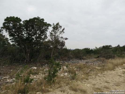 LOT 138-140 HILLTOP CIRCLE, LAKEHILLS, TX 78063, photo 2 of 10