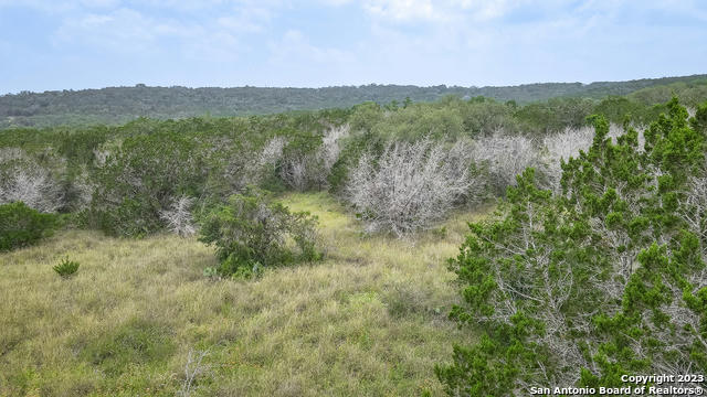 CR 242 COUNTY ROAD 242, HONDO, TX 78861, photo 2 of 24