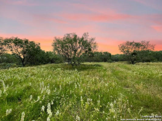 730 COUNTY ROAD 2530, MOORE, TX 78057 - Image 1