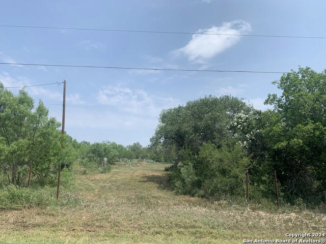 18919 COUNTY ROAD 5733, CASTROVILLE, TX 78009, photo 1 of 8