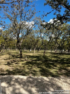 440 RED WRIGHT RD, LEAKEY, TX 78873, photo 4 of 21