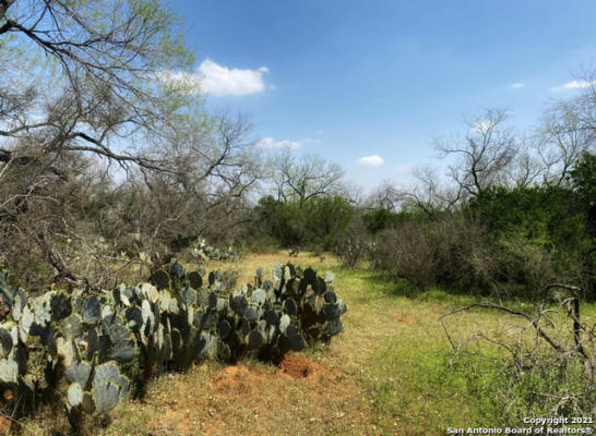 000 COUNTY ROAD 314, CHARLOTTE, TX 78011, photo 2 of 16