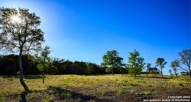 248 SEEP SPRINGS LOT 22 CREEKSIDE AT CAMP VERDE, CENTER POINT, TX 78010, photo 4 of 7