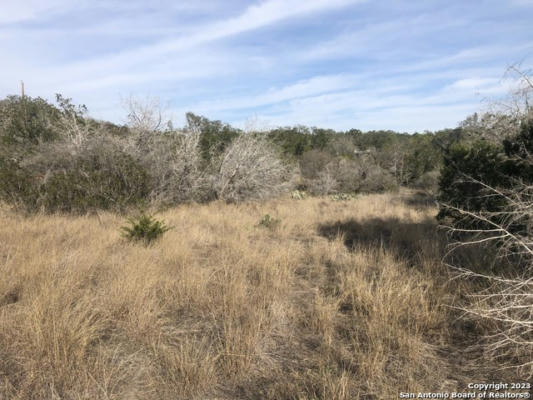 CR 242 COUNTY ROAD 242, HONDO, TX 78861, photo 3 of 24