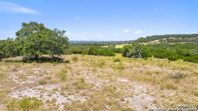 TRACT 20 RANCH ROAD 1623, BLANCO, TX 78671, photo 4 of 8