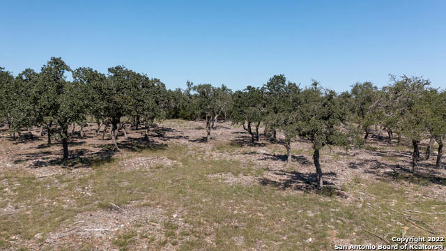 LOT 4 THE HIDEOUT RANCH, MOUNTAIN HOME, TX 78058, photo 5 of 8