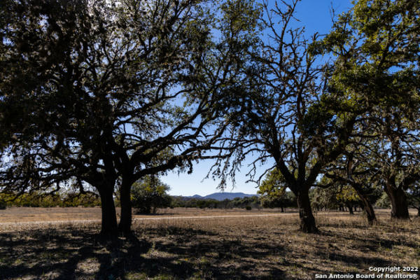 434 RIVER RD, UTOPIA, TX 78884, photo 4 of 25