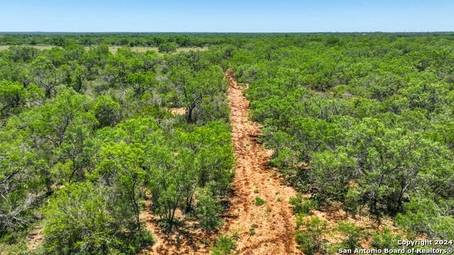 000 BLUNTZER RD, JOURDANTON, TX 78026, photo 2 of 9