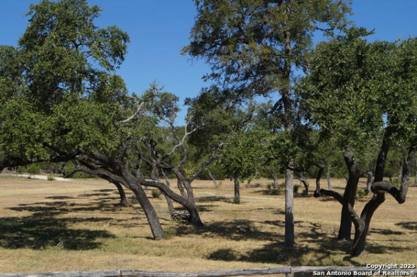 6037 SENTRY POINT, FISCHER, TX 78623, photo 2 of 16