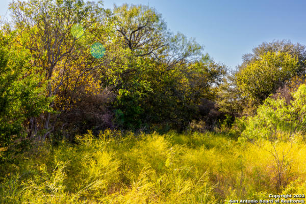 COUNTY ROAD 661, DEVINE, TX 78016, photo 4 of 12