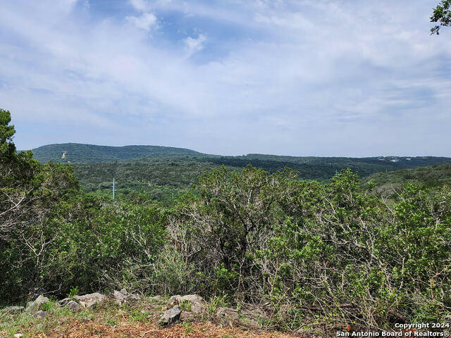 11545 LOCHWIND, HELOTES, TX 78023, photo 1 of 10