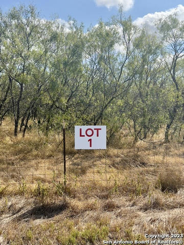 TBD LOT 1 STATE HIGHWAY 80, NIXON, TX 78140, photo 1 of 11