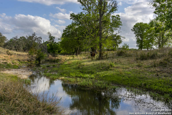 855 LINDIG RANCH RD, STONEWALL, TX 78671, photo 4 of 22