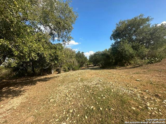 000 ADKINS-ST. HEDWIG ROAD, ST HEDWIG, TX 78152, photo 1 of 30