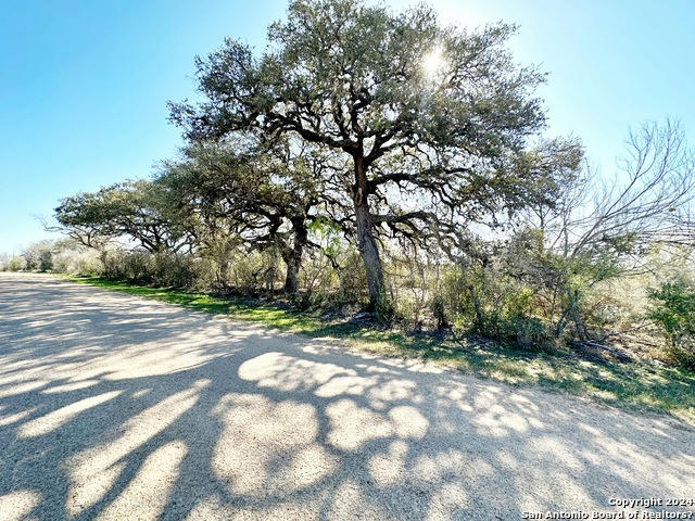 TBD CR 663, DEVINE, TX 78016, photo 1 of 9