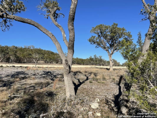 118 NINA, CAMP VERDE, TX 78010, photo 4 of 8