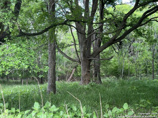 LULING, TEXAS LULING TEXAS RANCH, LULING, TX 78648, photo 4 of 39