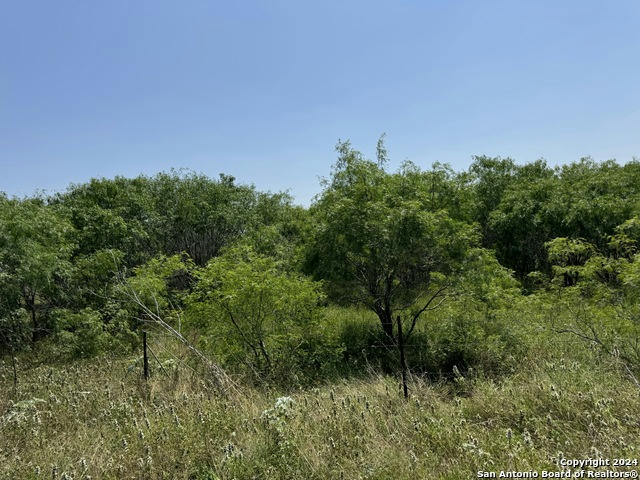 000 STEELE BRANCH LANE TRACT 3, STOCKDALE, TX 78160, photo 1 of 4