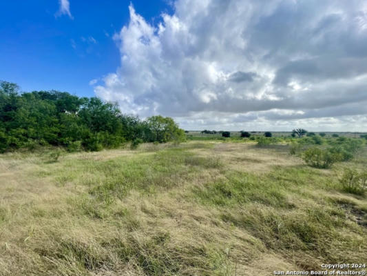 TRACT 2 920 COUNTY ROAD 201, FALLS CITY, TX 78113 - Image 1