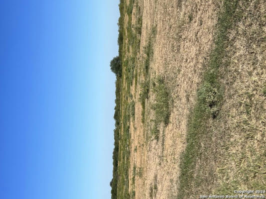 TBD GRAYTOWN ROAD, ST HEDWIG, TX 78152, photo 4 of 6