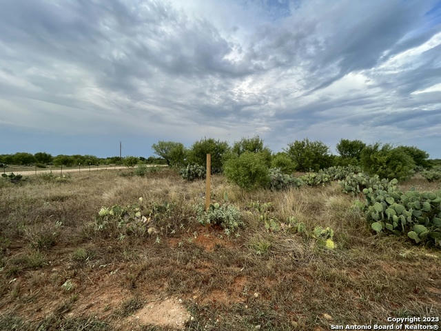 TBD CR 3435 LOT 12, PEARSALL, TX 78061, photo 1 of 10