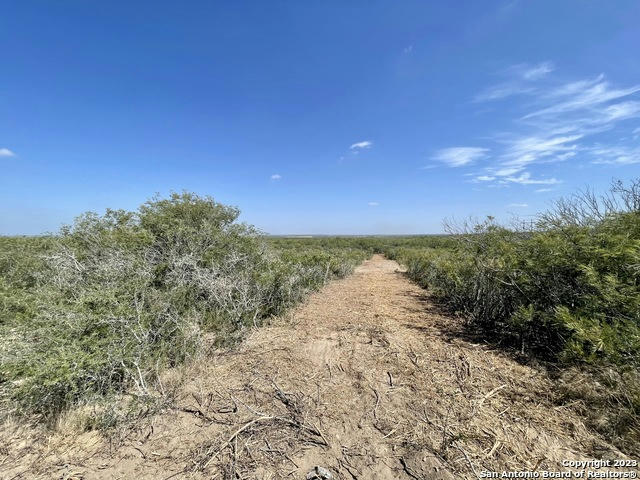 TRACT 15 CR 1515, MOORE, TX 78057, photo 1 of 9