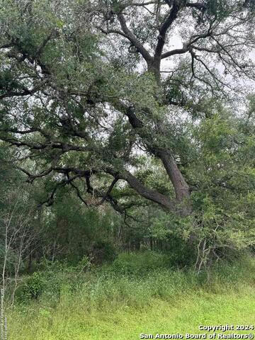 TBD CR 333, SUTHERLAND SPRINGS, TX 78161, photo 1 of 20
