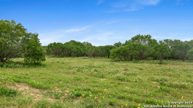 1467 COUNTY ROAD 120 UNIT B, FLORESVILLE, TX 78114, photo 1 of 8