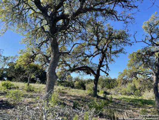 838 RUTHERFORD, FISCHER, TX 78623, photo 3 of 22