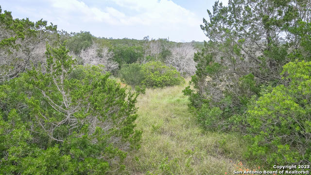 CR 242 COUNTY ROAD 242, HONDO, TX 78861, photo 1 of 24